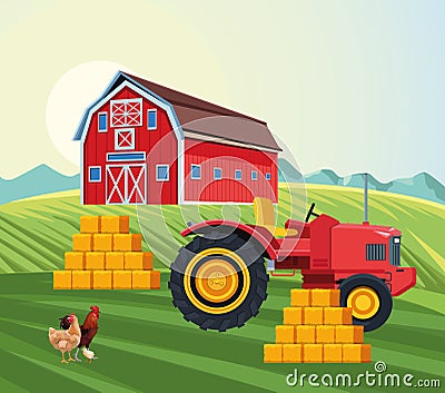 Farming barn traactor stacked hay hen chicken and rooster field Vector Illustration