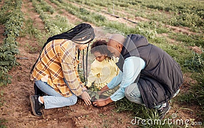 Farming family, kid or planting in soil agriculture, sustainability learning or future growth planning of earth food Stock Photo