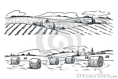 Farming fields landscape, vector sketch illustration. Agriculture and harvesting vintage background. Rural nature view Vector Illustration