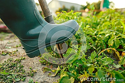 Farming, gardening, agriculture and people concept Stock Photo