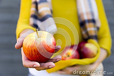 Farming, gardening, harvesting, fall and people concept - woman with apples at autumn garden Stock Photo