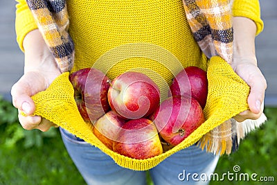 Farming, gardening, harvesting, fall and people concept - woman with apples at autumn garden Stock Photo