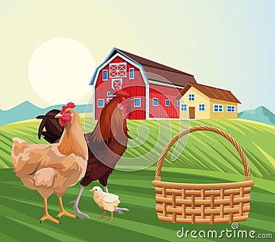 Farming hen chicken and rooster barn house sunny day field Vector Illustration