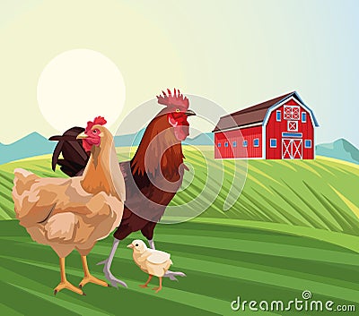 Farming hen chicken and rooster barn sunny day field Vector Illustration