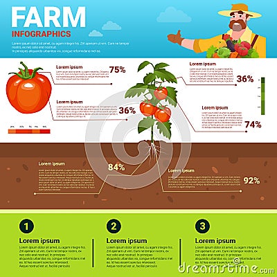 Farming Infographics Eco Friendly Organic Natural vegetable Growth Farm Production Banner With Copy Space Vector Illustration
