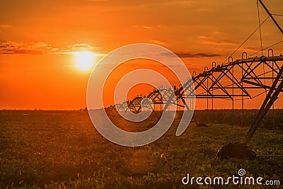 Farming irrigation pivot sprinkler Stock Photo