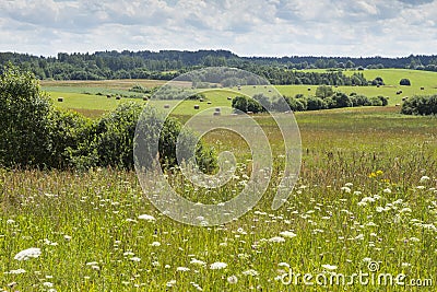 Farming land Stock Photo