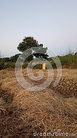 Farming in our country India Stock Photo