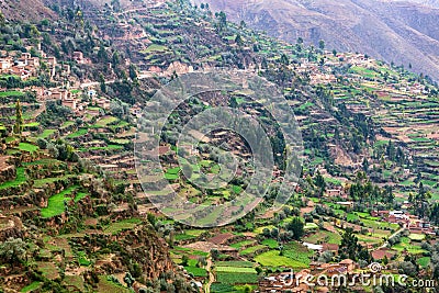 Farming Terraces in Peru Stock Photo