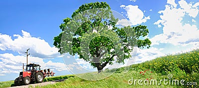 Farming tractor and big green tree Stock Photo