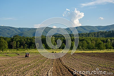 Farming with tractor and plow in field with mountain Papuk in th Stock Photo