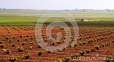 Farming tractor Stock Photo