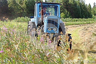 Farming tractor working in field of freshly cut during hayfield. Editorial Stock Photo