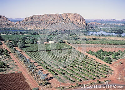 Farming Stock Photo