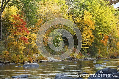 Farmington River flows by vibrant fall foliage in Canton, Connecticut. Stock Photo