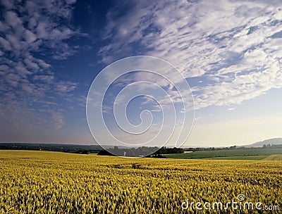 Farmland Stock Photo