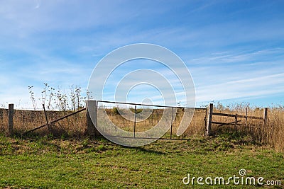 Farmland Stock Photo