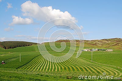 Farmland Stock Photo