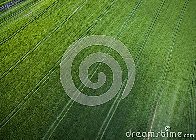 Aerial image of a lush green filed Stock Photo