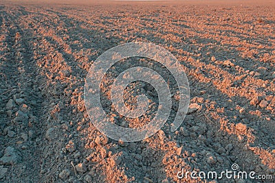 Farmland Agricultural Landscape. Farming Culture Concept. Dawn Rays Over Arable Land. Crop Planting Time. Pattern Of Stock Photo