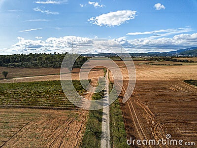 Farmland and agricultural production background in an aerial view from a drone. Agriculture and food production Stock Photo