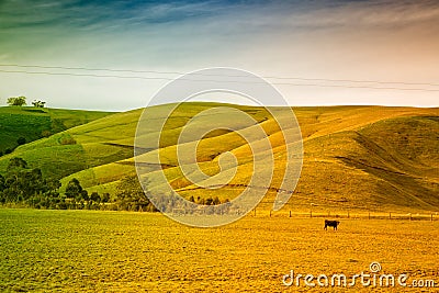 Farmland in Australia Stock Photo