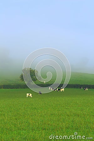Farmland in Axe Valley, Devon Stock Photo