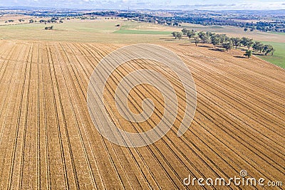 Farmland Canowindra NSW Australia - Aerial View Stock Photo