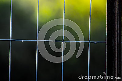 Farmland fence with droplets of rain still clinging to the wire Stock Photo