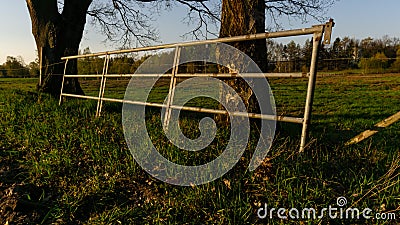 Farmland fence leaning on a tree in sunset Stock Photo