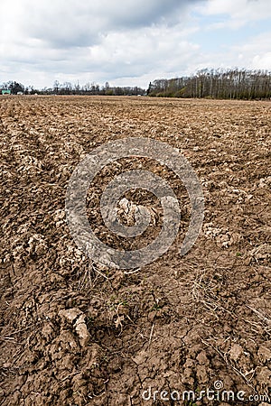 Farmland. Furrows on agricultural land Stock Photo