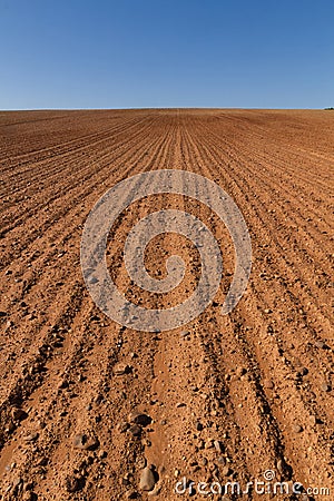 Farmland Furrows Plowed Stock Photo