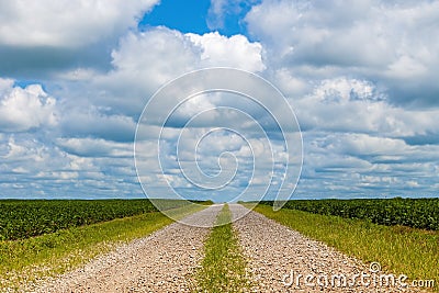 Farmland gravel road Stock Photo