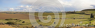 Farmland at Maryhill Washington Panorama Stock Photo