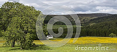 Farmland near Corgarff Castle in Aberdeenshire, Scotland, United Kingdom. Stock Photo