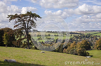 Farmland near Guiting Power, Cotswolds, Gloucestershire, England Stock Photo