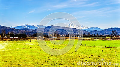 Farmland near the Matsqui dyke at the towns of Abbotsford and Mission in British Columbia, Canada Stock Photo