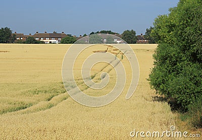 Farmland in North Kent Stock Photo
