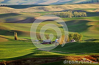 Farmland in Palouse Washington Stock Photo