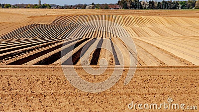 Farmland with soil prepared with in line furrows for growing potatoes Stock Photo