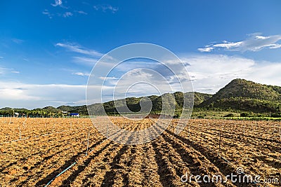 Farmland in valley mountain Stock Photo