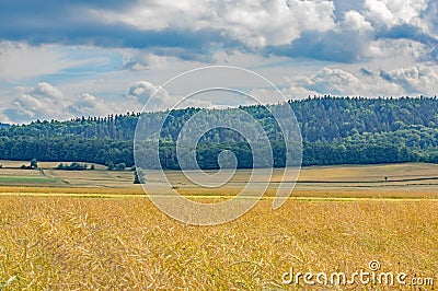 Farmlands. Stock Photo