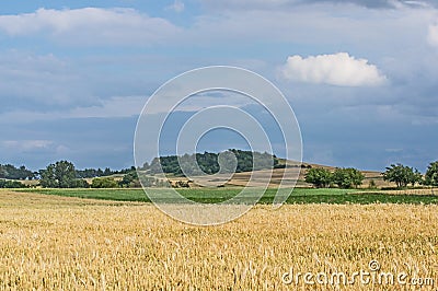 Farmlands. Stock Photo