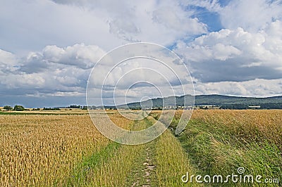 Farmlands. Stock Photo