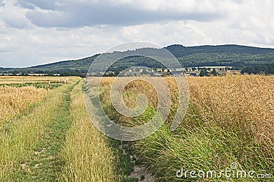 Farmlands. Stock Photo