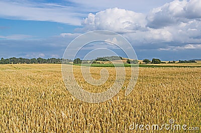 Farmlands. Stock Photo