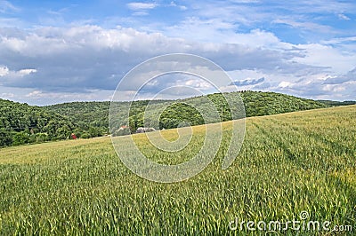 Farmlands. Stock Photo