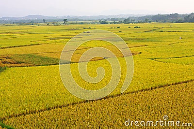 Farms Stock Photo