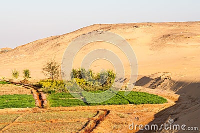 Farms at the edge of dunes Stock Photo