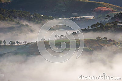 The farms growing flowers, vegetables using high-tech agriculture and houses in rural in vietnam part 4 Stock Photo